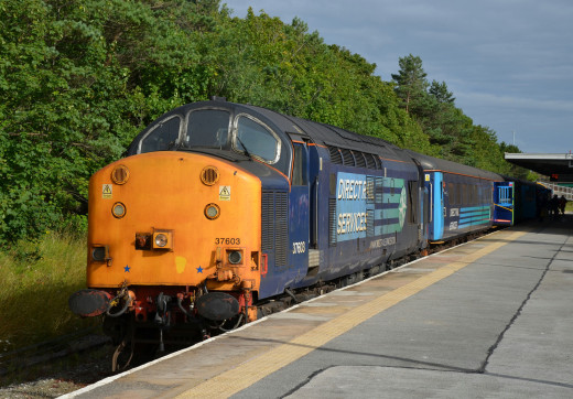 962335 (a): :2048x1422